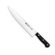 Cuchillo Cocinero 25,5cm Serie Roma